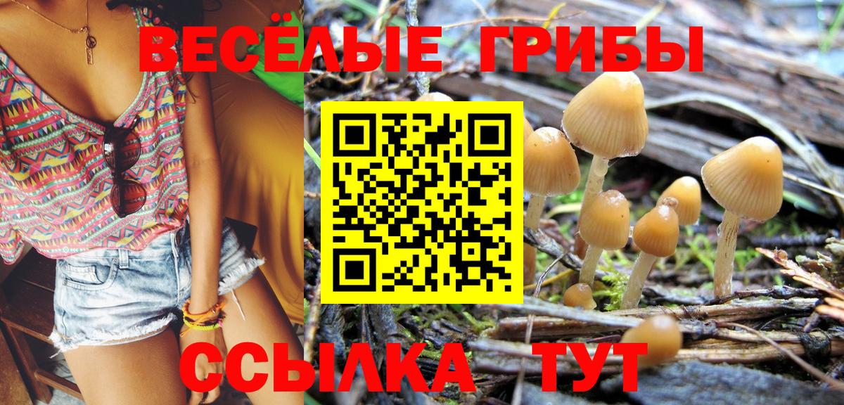 Псилоцибиновые грибы ЛСД Елабуга